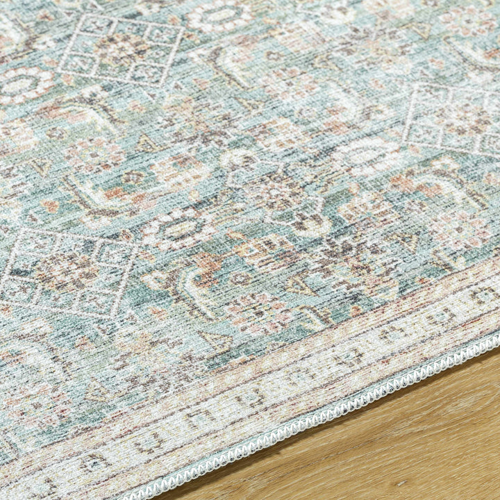 Ayanna Traditional Transitional Gray Washable Rug