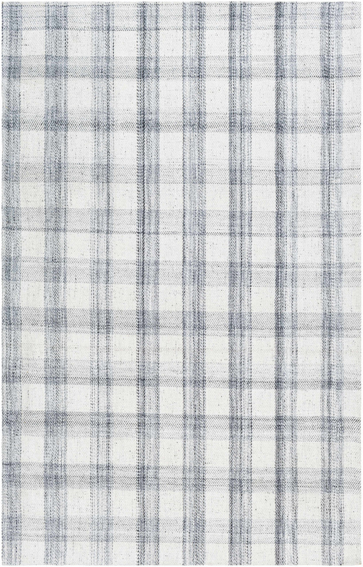 Sammy Contemporary Style Gray And White Hand Woven Area Rug
