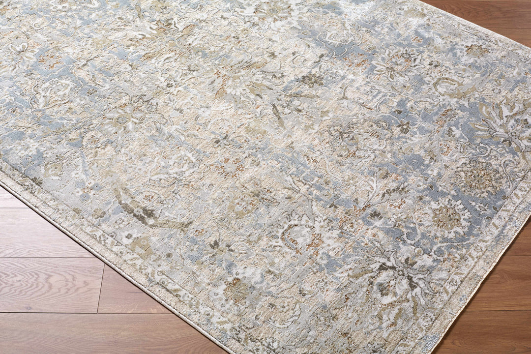 Nasir Traditional Style Beige And Gray Area Rug