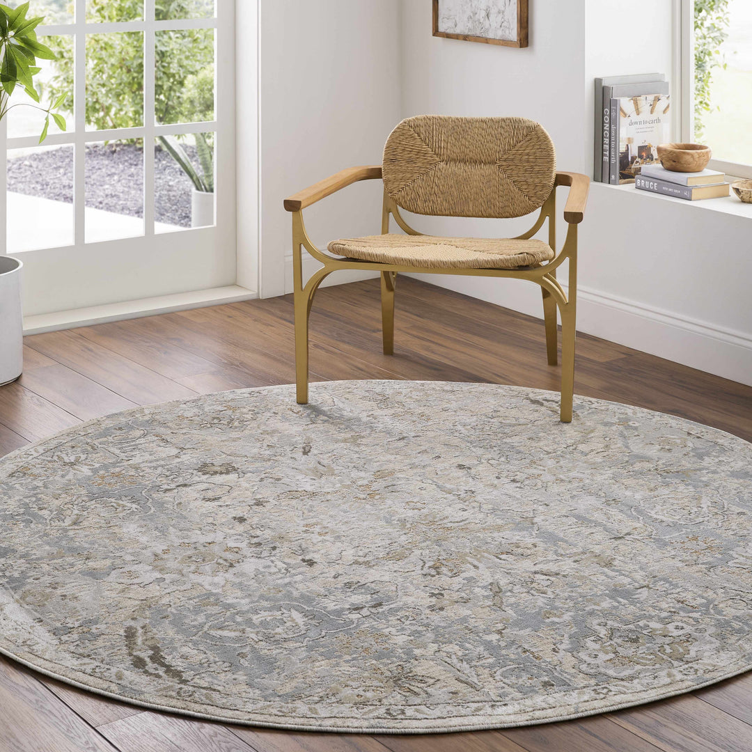 Nasir Traditional Style Beige And Gray Area Rug