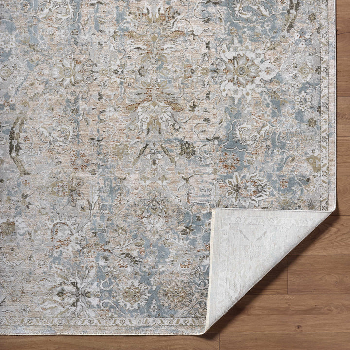Nasir Traditional Style Beige And Gray Area Rug