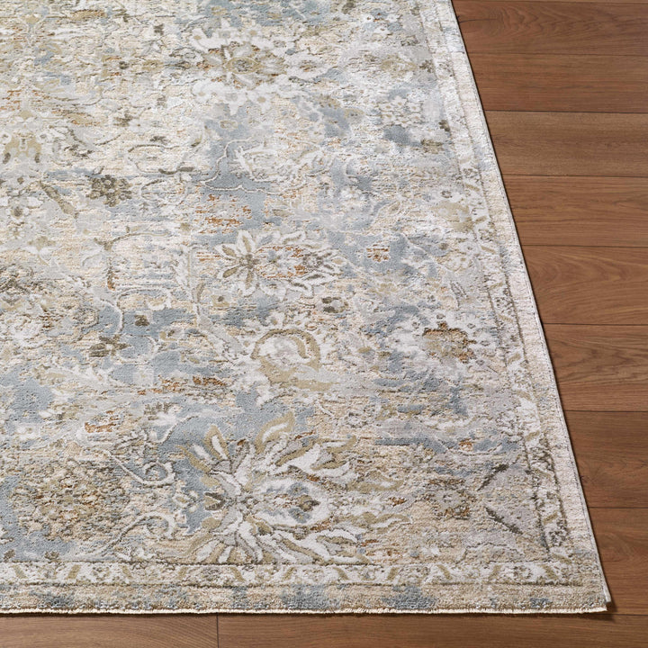 Nasir Traditional Style Beige And Gray Area Rug