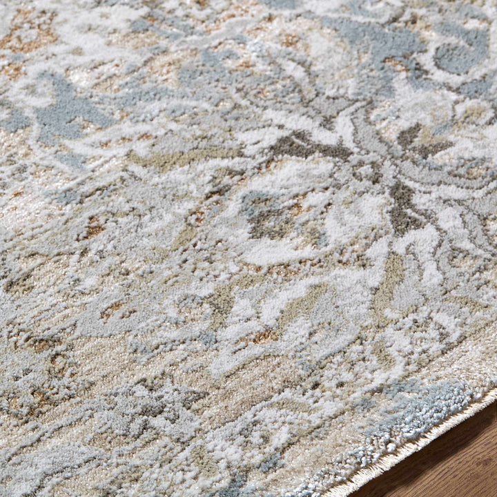 Nasir Traditional Style Beige And Gray Area Rug