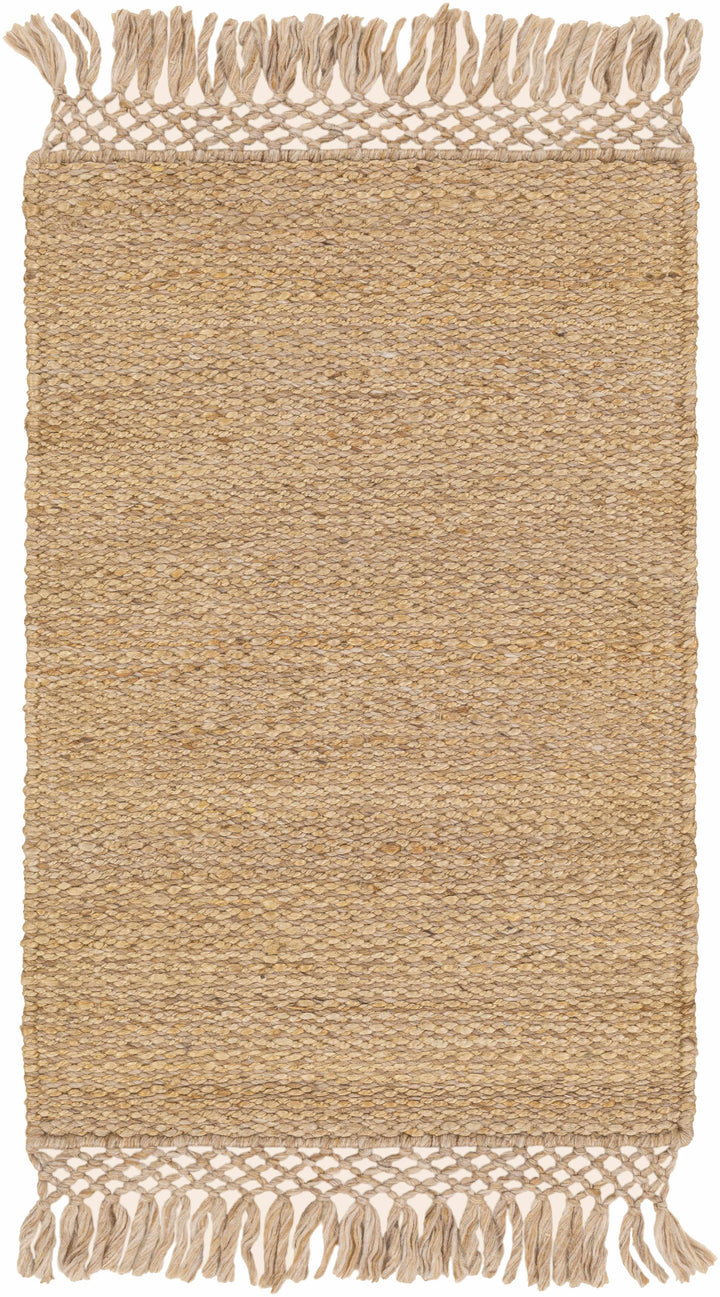 Partoun Modern Style Tan Hand Woven Area Rug