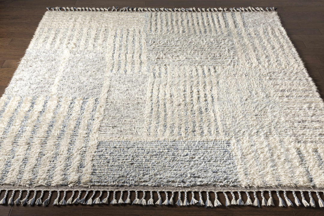 Plean Modern Style Ivory And Gray Hand Knotted Area Rug