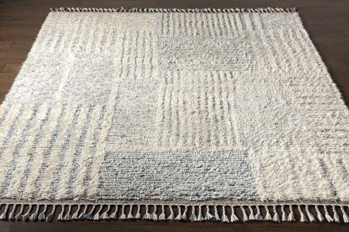 Plean Modern Style Ivory And Gray Hand Knotted Area Rug