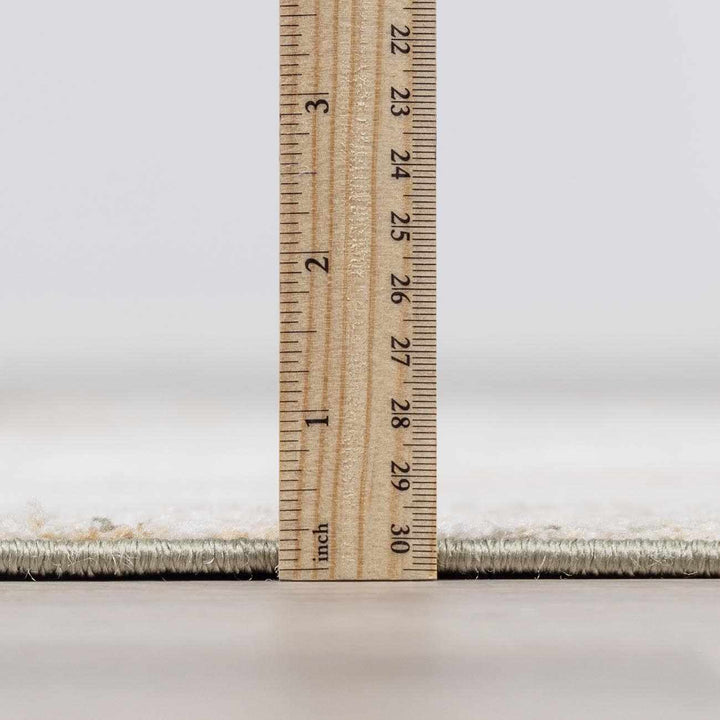 Amable Contemporary Abstract Gray And Olive Machine Woven Rug