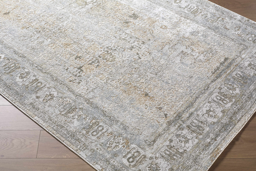Pryce Traditional Style Beige And Gray Area Rug