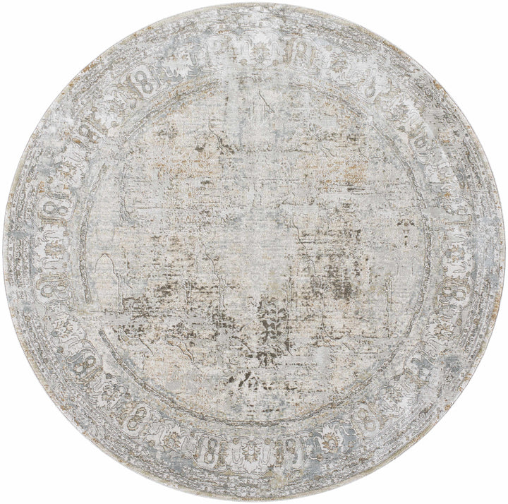 Pryce Traditional Style Beige And Gray Area Rug