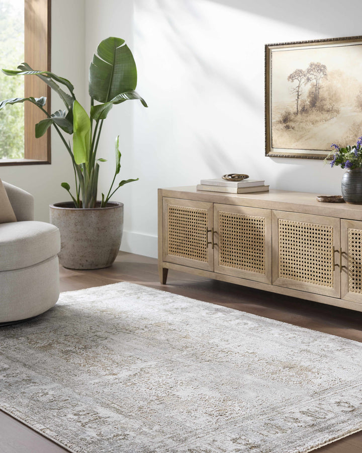 Pryce Traditional Style Beige And Gray Area Rug