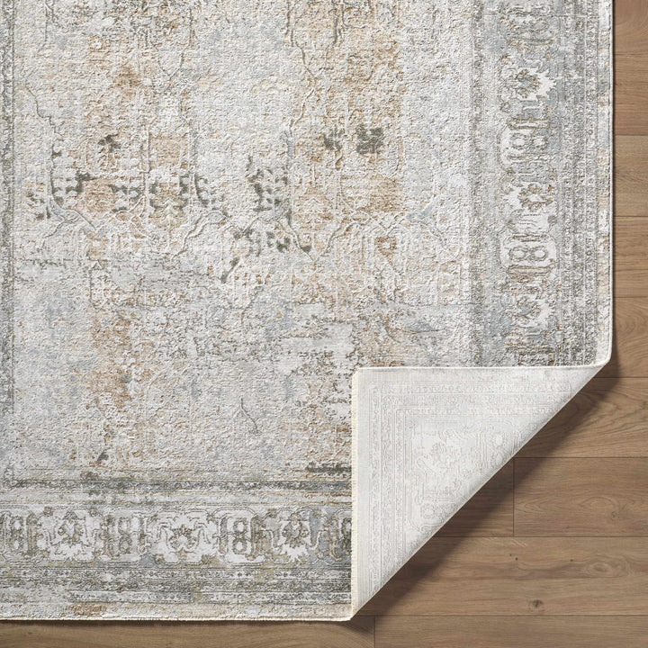 Pryce Traditional Style Beige And Gray Area Rug