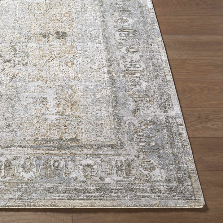 Pryce Traditional Style Beige And Gray Area Rug