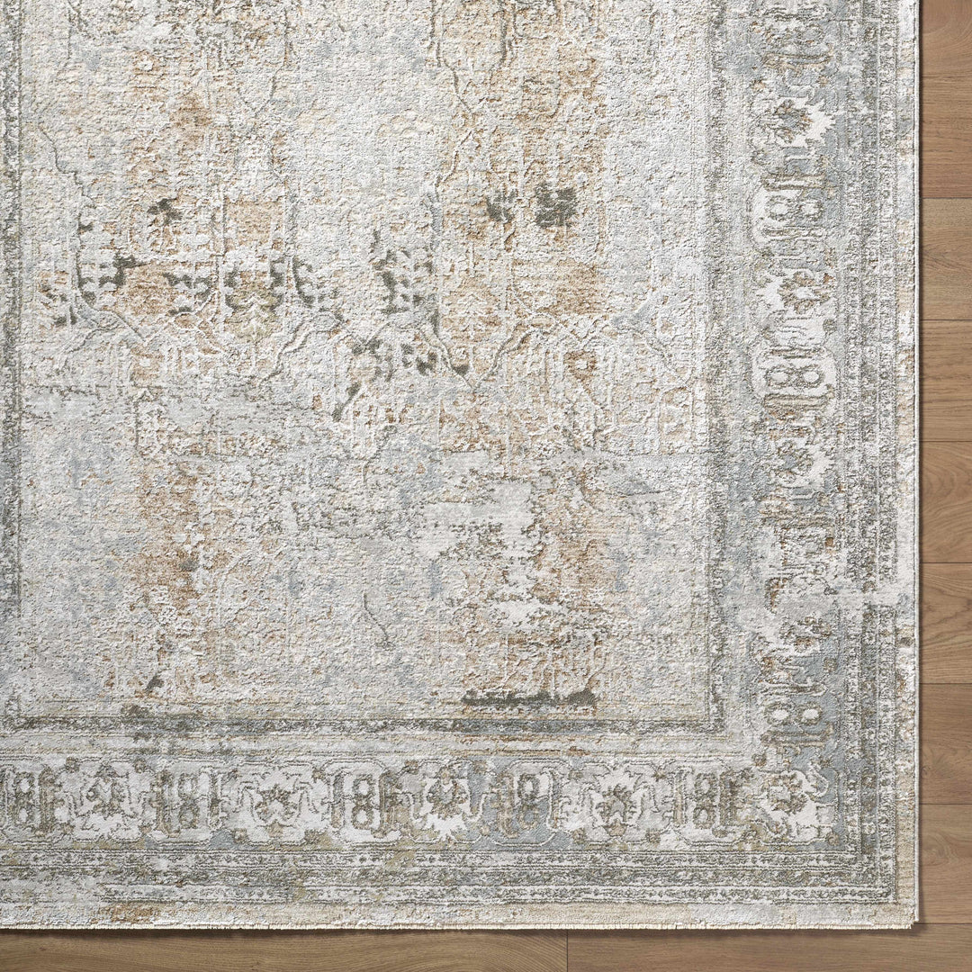Pryce Traditional Style Beige And Gray Area Rug