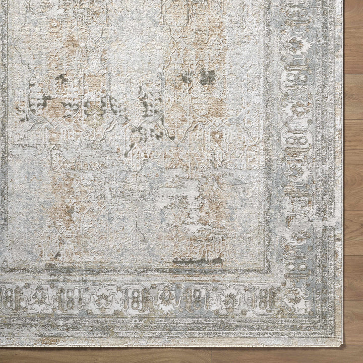 Pryce Traditional Style Beige And Gray Area Rug