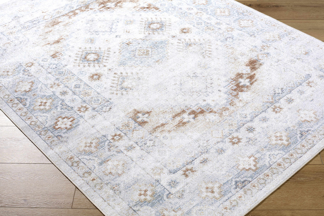 Agaton Traditional Style Ivory & Brown Washable Area Rug