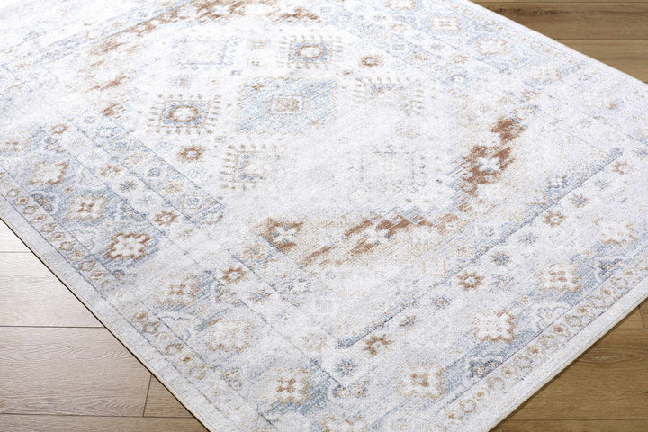 Agaton Traditional Style Ivory & Brown Washable Area Rug