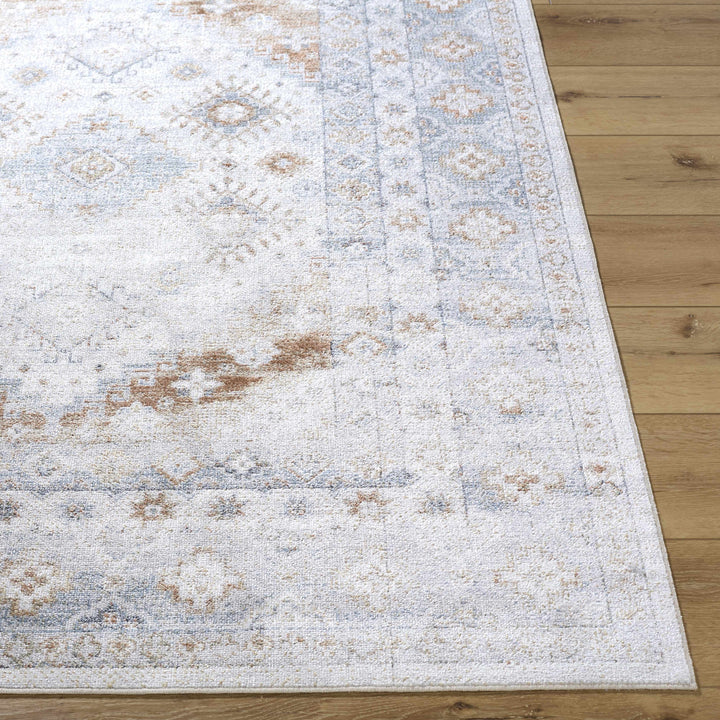 Agaton Traditional Style Ivory & Brown Washable Area Rug