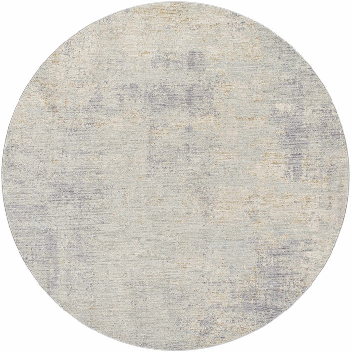 Razi Modern Abstract Design Beige And Gray Area Rug