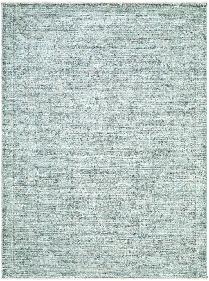 Aviana Traditional Style Gray Area Rug