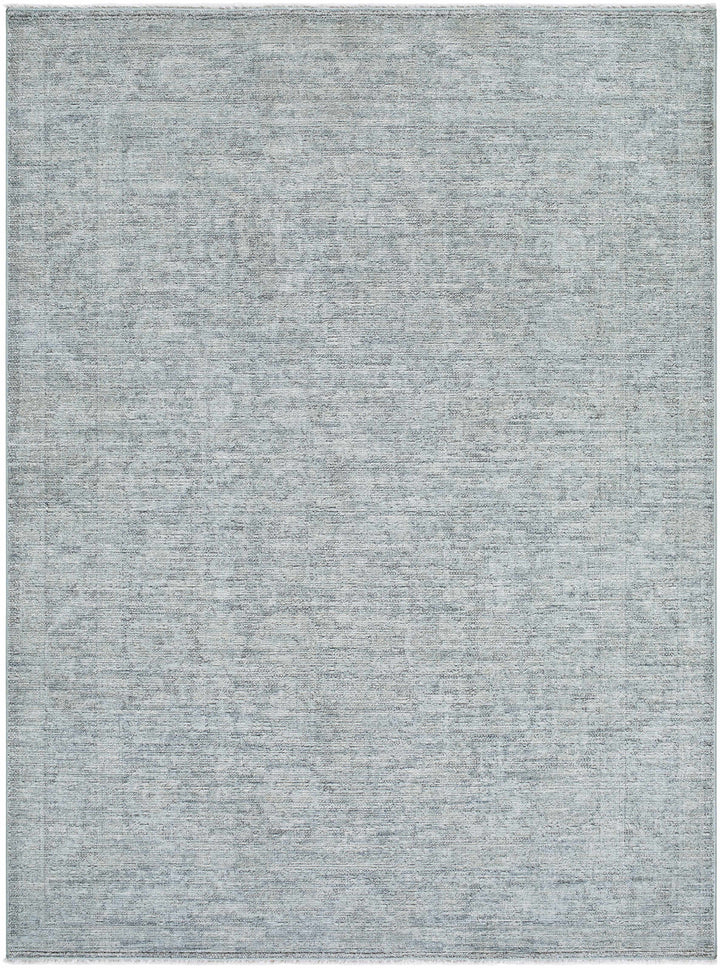 Aviana Traditional Style Gray Area Rug