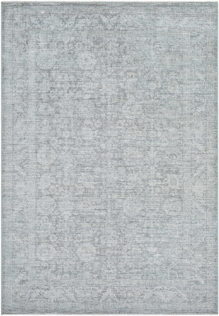 Aviana Traditional Style Gray Area Rug