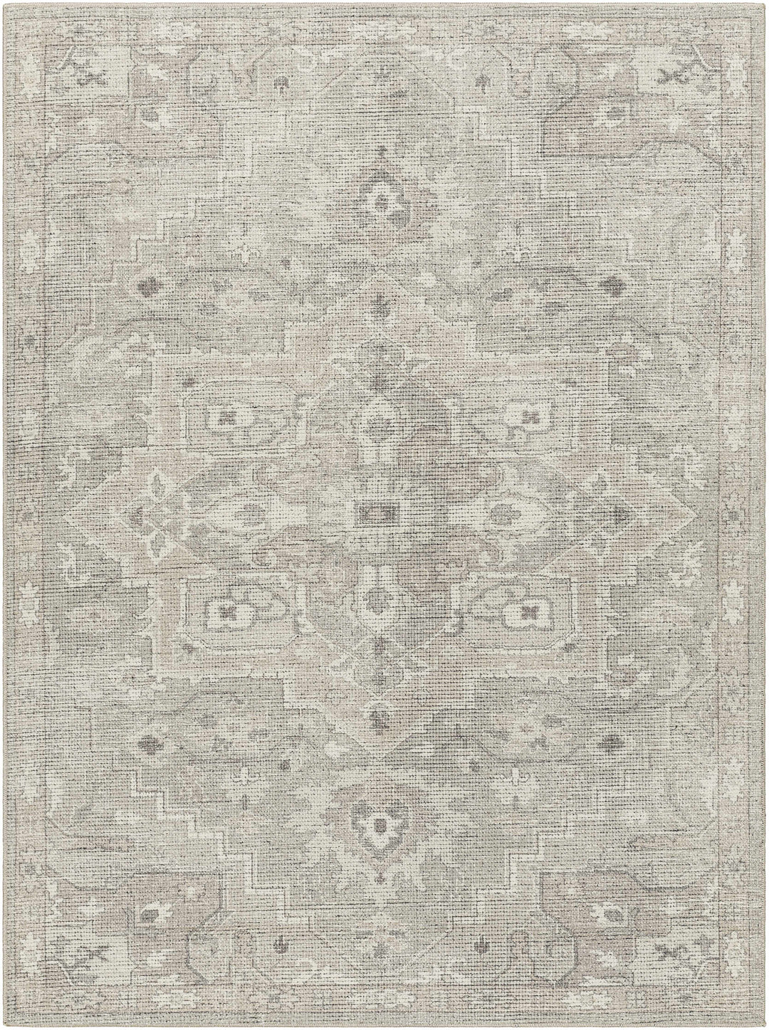Esau Traditional Gray Machine Woven Area Rug