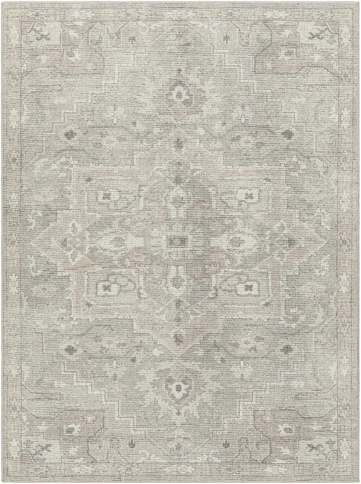 Esau Traditional Gray Machine Woven Area Rug