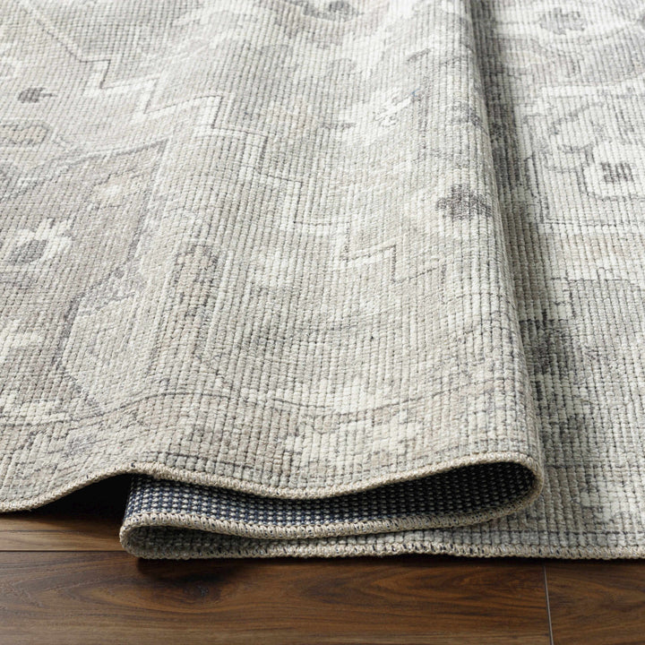 Esau Traditional Gray Machine Woven Area Rug