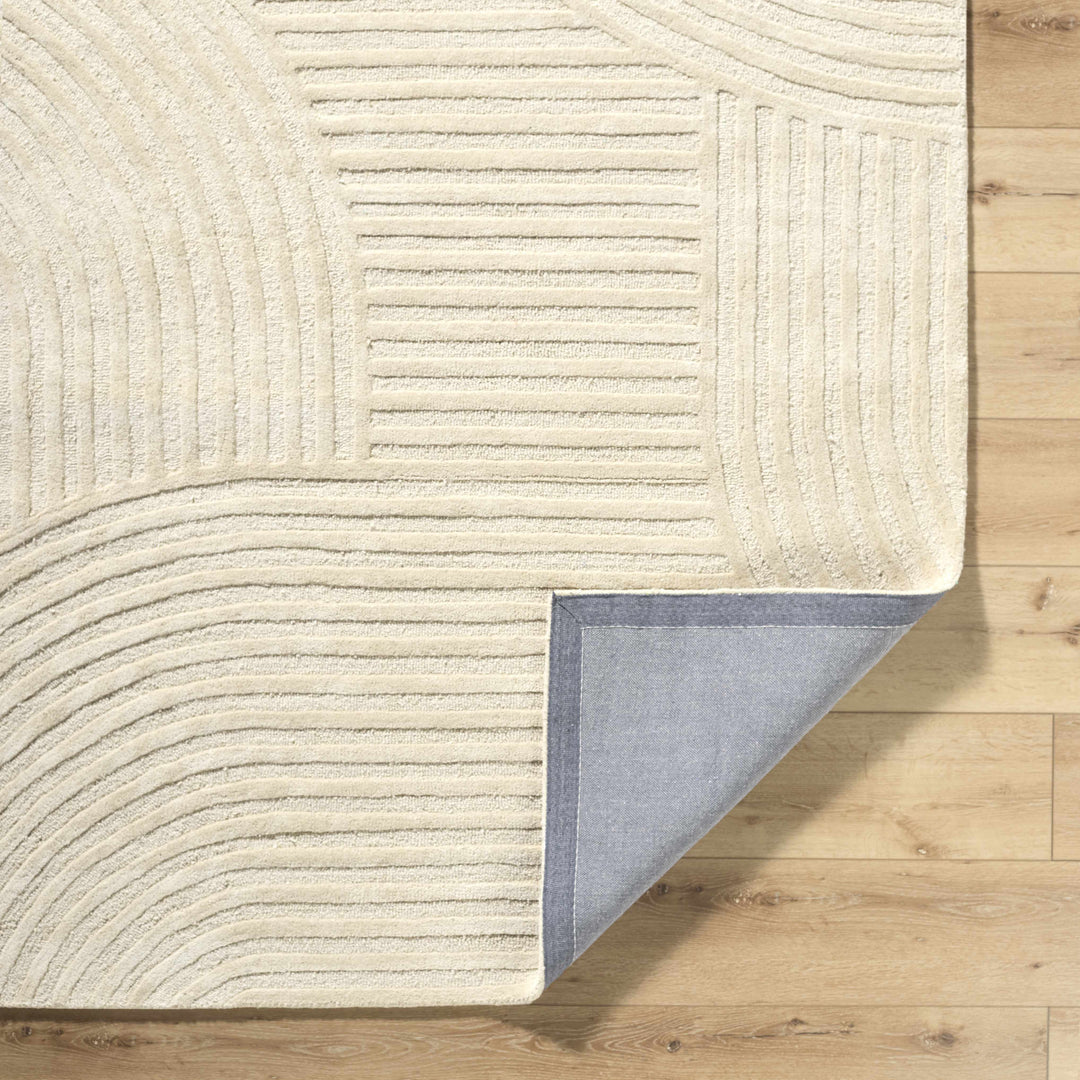 Whan Contemporary Style Beige Hand Tufted Wool Area Rug