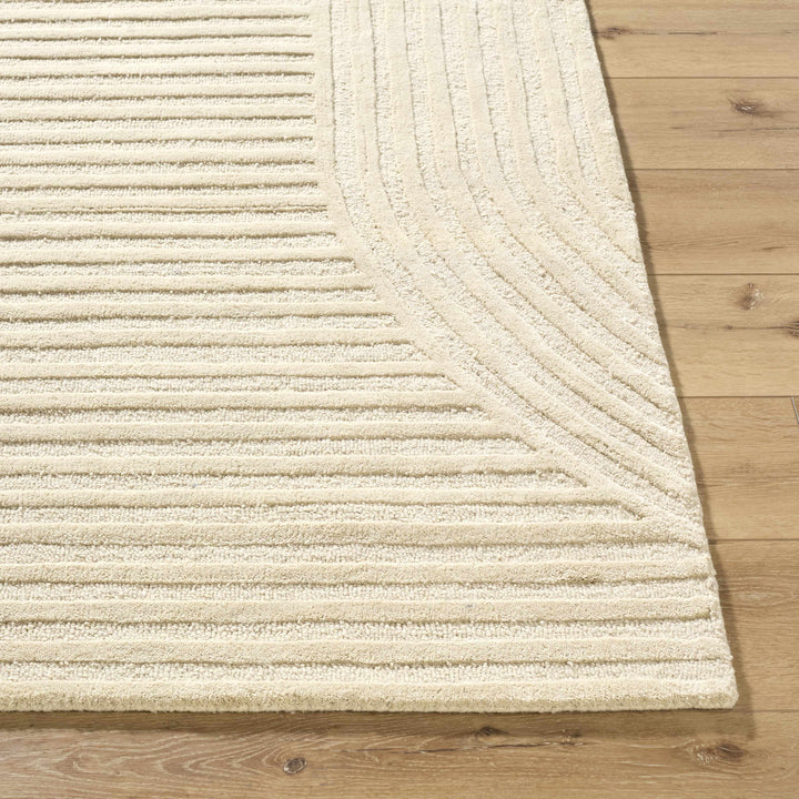 Whan Contemporary Style Beige Hand Tufted Wool Area Rug