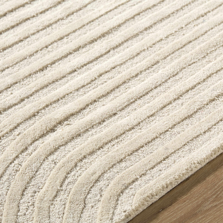 Whan Contemporary Style Beige Hand Tufted Wool Area Rug