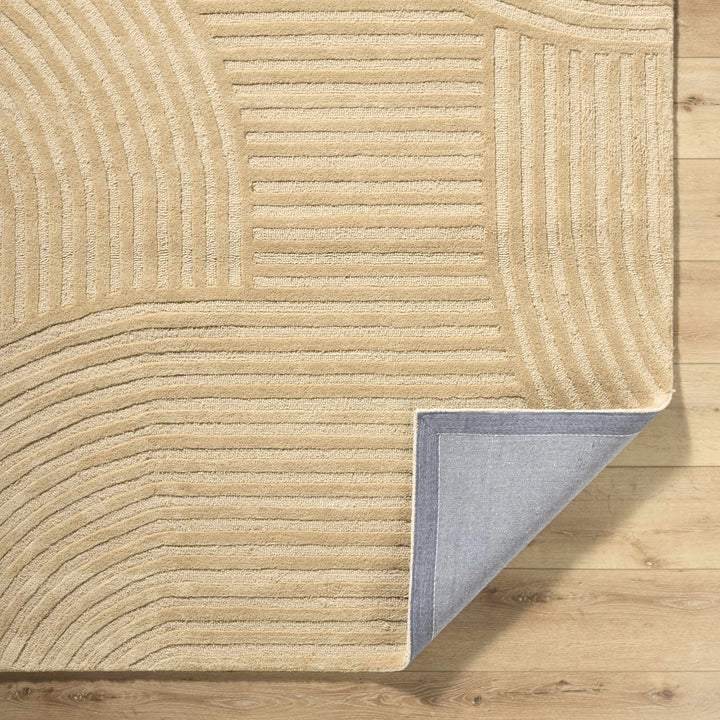 Whan Contemporary Style Beige Hand Tufted Wool Area Rug