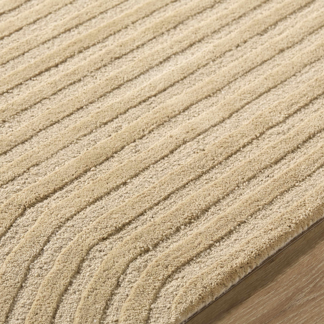 Whan Contemporary Style Beige Hand Tufted Wool Area Rug