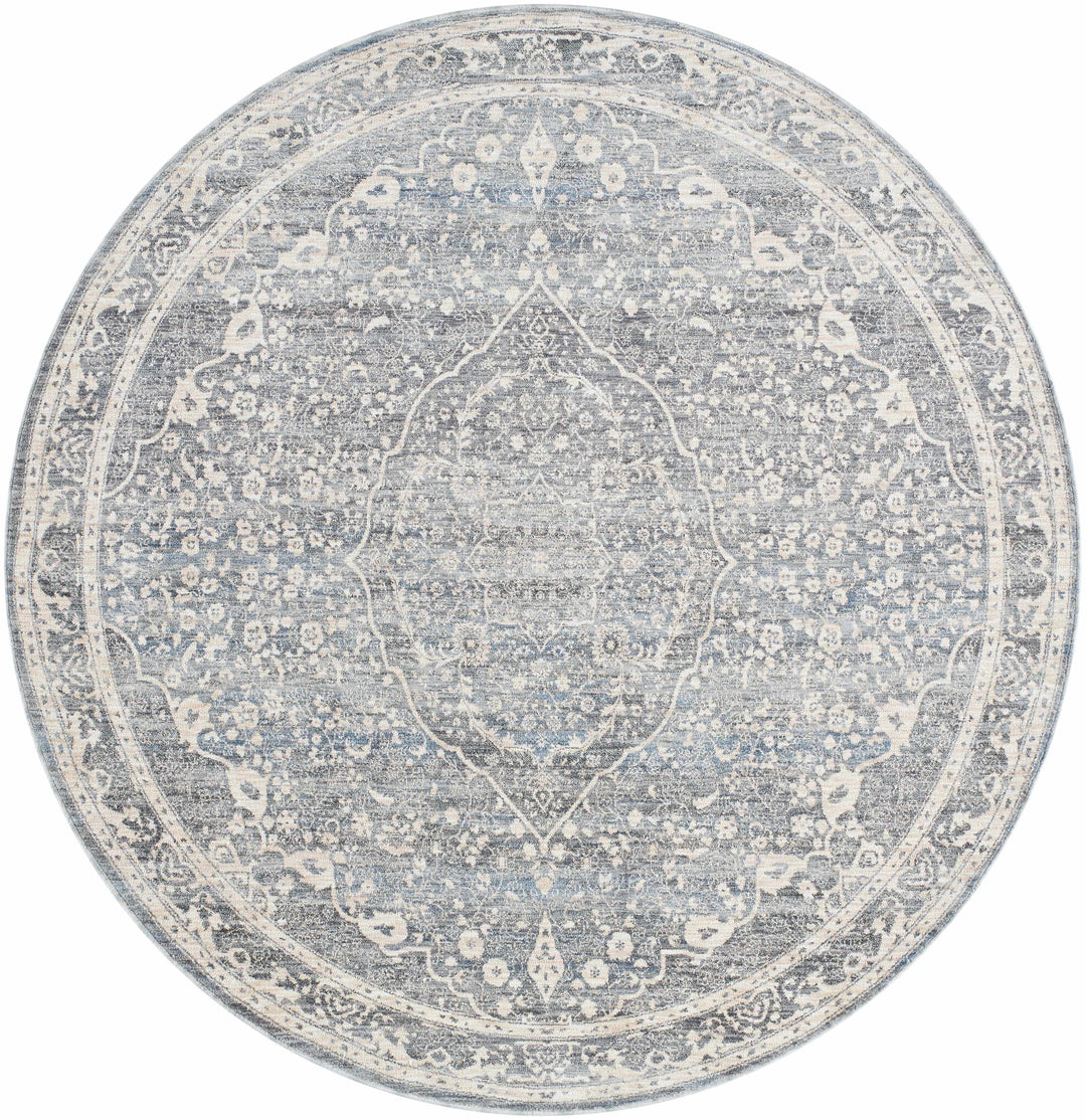Anouk Traditional Style Beige And Gray Area Rug