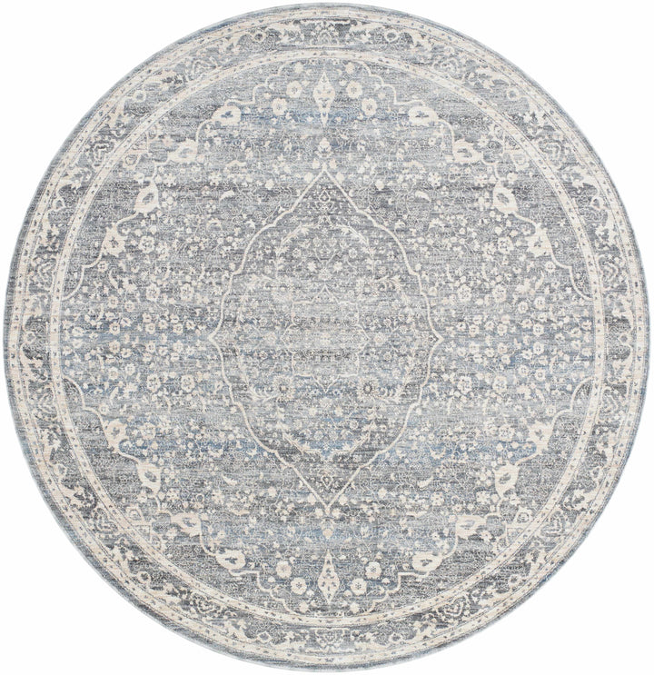 Anouk Traditional Style Beige And Gray Area Rug