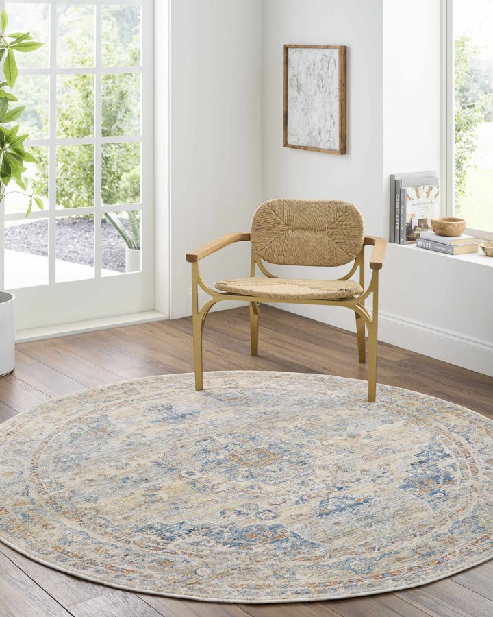 Bora Traditional Distress Beige And Blue Area Rug