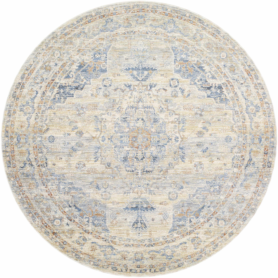 Bora Traditional Distress Beige And Blue Area Rug
