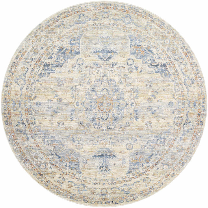 Bora Traditional Distress Beige And Blue Area Rug