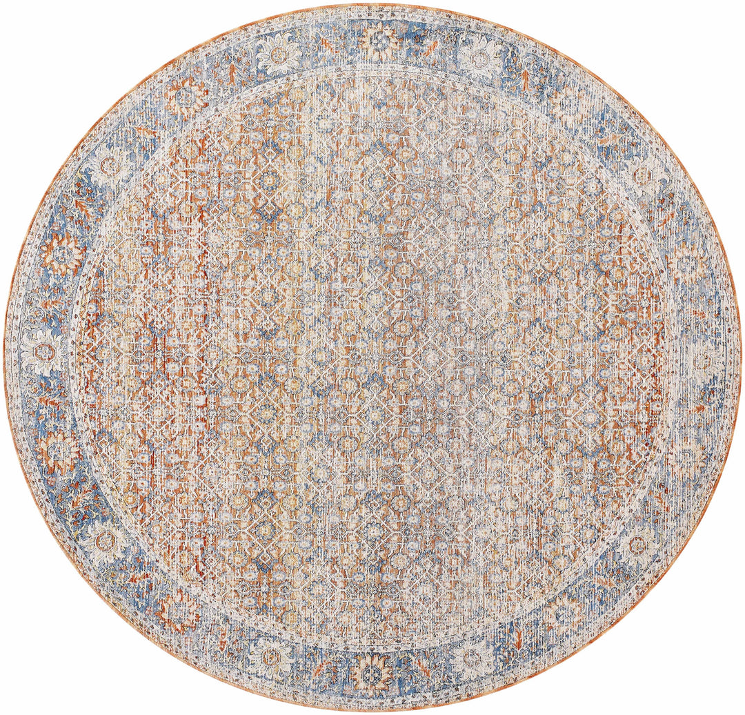 Dalit Traditional Style Rust & Blue Area Rug