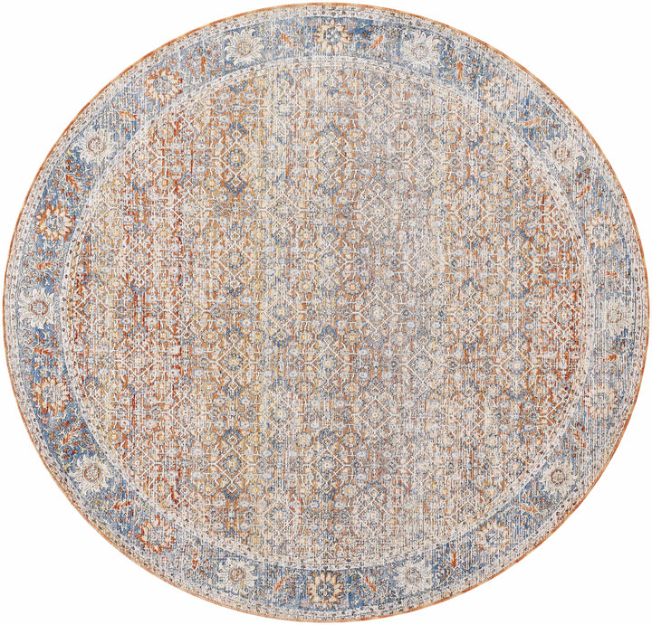 Dalit Traditional Style Rust & Blue Area Rug