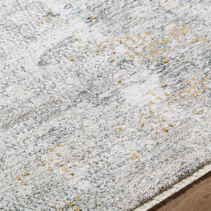 Gryta Contemporary Abstract Style Gray And Beige Rug