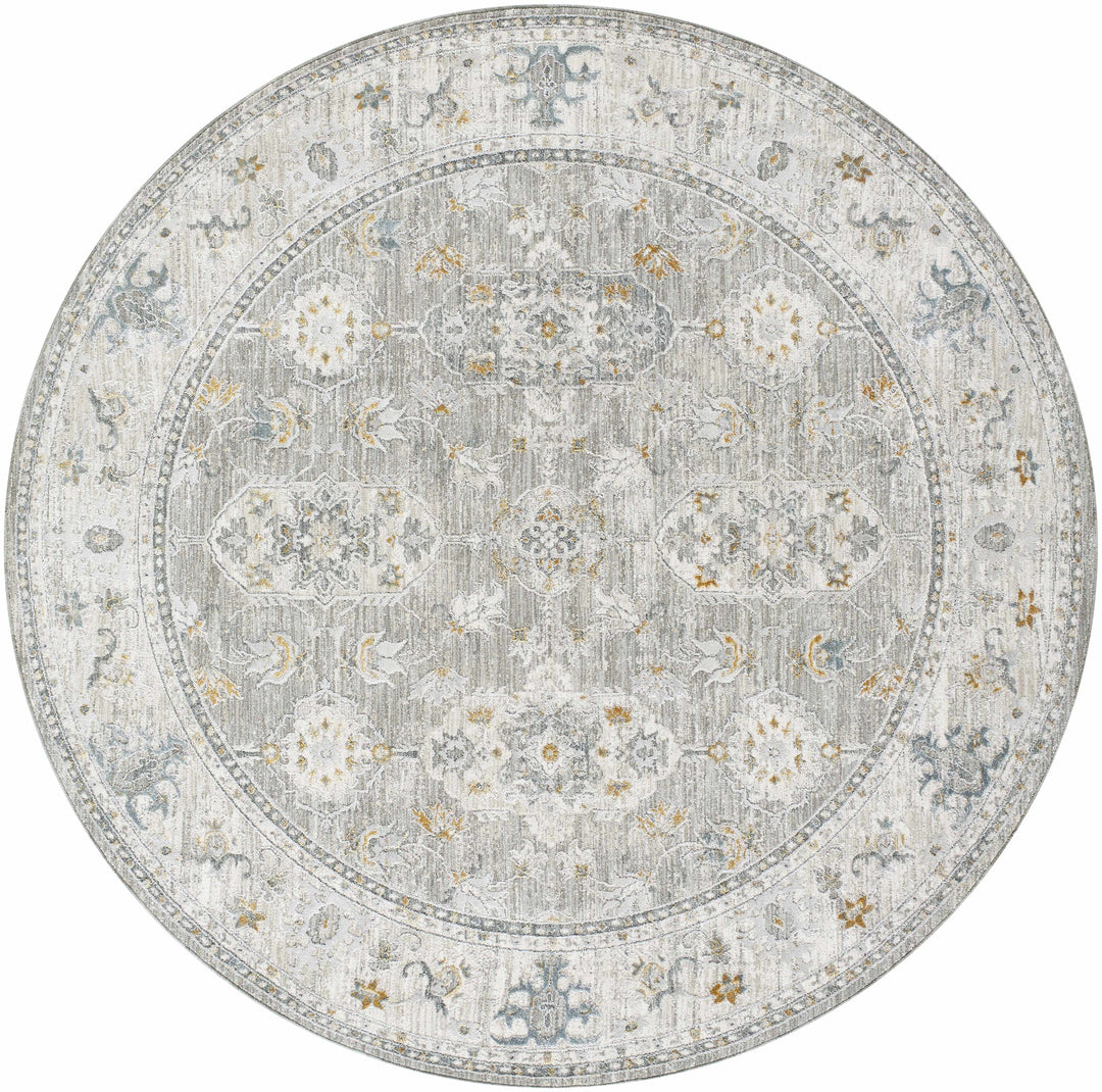 Hafsa Traditional Style Beige And Gray Rug