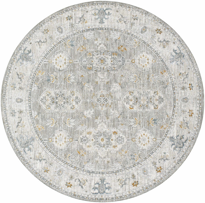 Hafsa Traditional Style Beige And Gray Rug