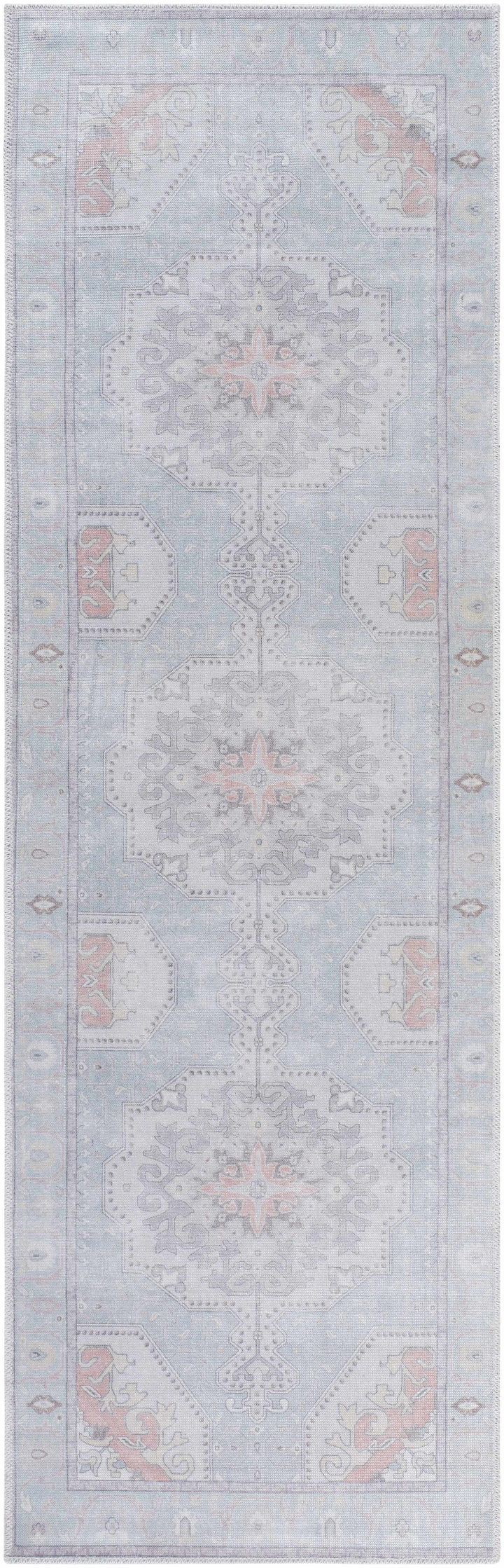 Pacay Traditional Style Gray And Rust Area Rug