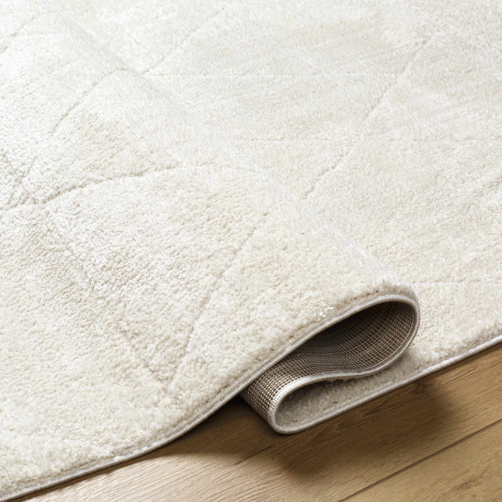 Keone Modern Style Ivory Area Rug