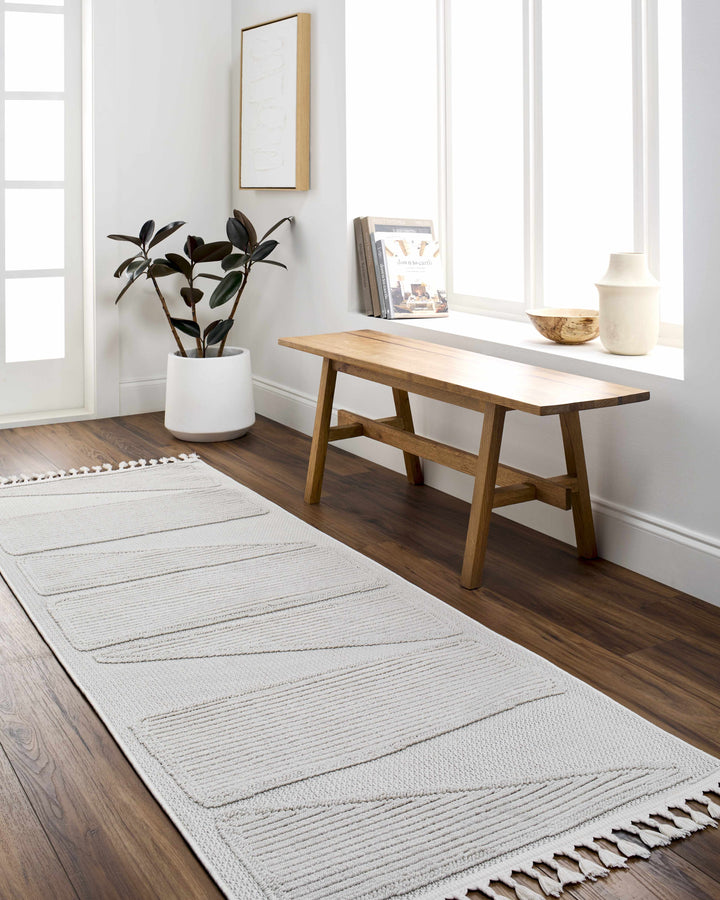 Brac Contemporary Style Ivory And Gray Area Rug