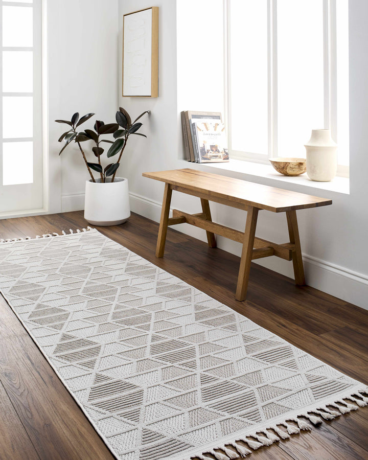 Tova Modern Geometric Design Beige Area Rug