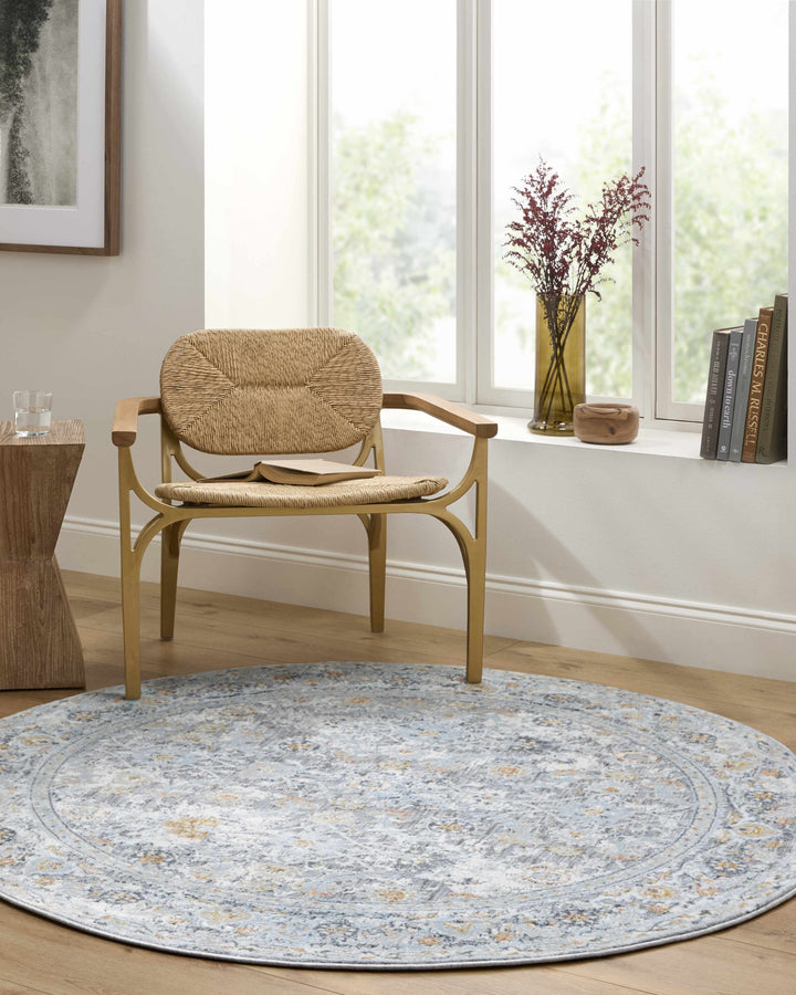 Finn Traditional Style Silver & Blue Area Rug