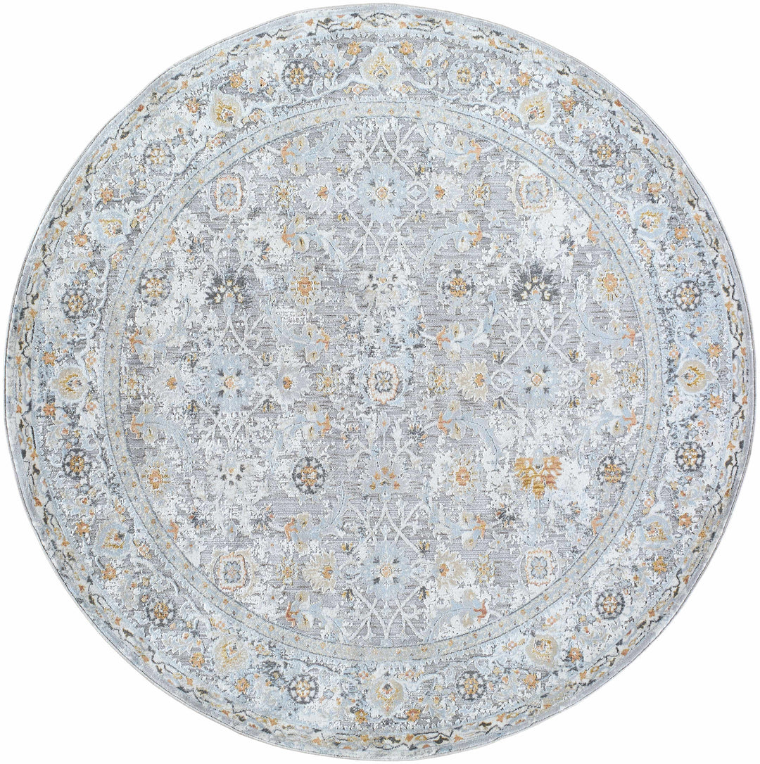 Finn Traditional Style Silver & Blue Area Rug