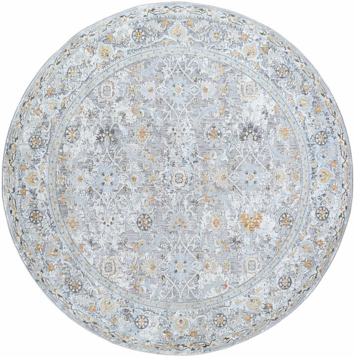 Finn Traditional Style Silver & Blue Area Rug
